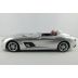 R/C auto Rastar Mercedes-Benz SLR McLaren Z199 (1:12)