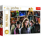 Trefl puzzle 160 dílků - Harry Potter a přátelé