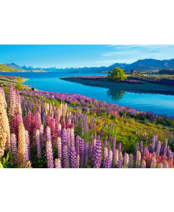 Castorland puzzle Jezero Tekapo, Nový Zéland, 500 dílků