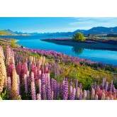 Castorland puzzle Jezero Tekapo, Nový Zéland, 500 dílků